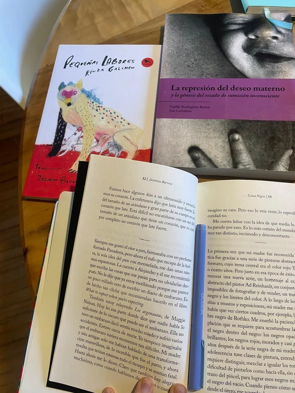 Libros y materiales de lectura utilizados durante un proceso de investigación.